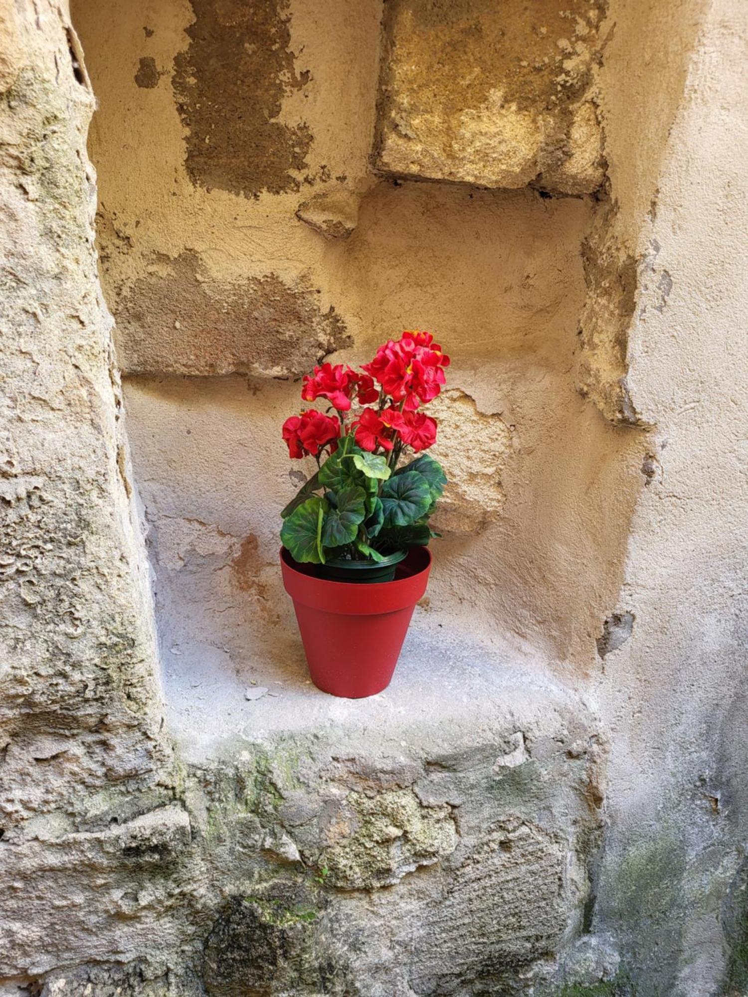 Studio/2 Pieces, Terrasse Avignon Extérieur photo